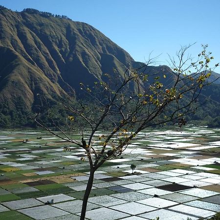 Rinjani Green Park Syariah Hotel 셈바룬 라왕 외부 사진