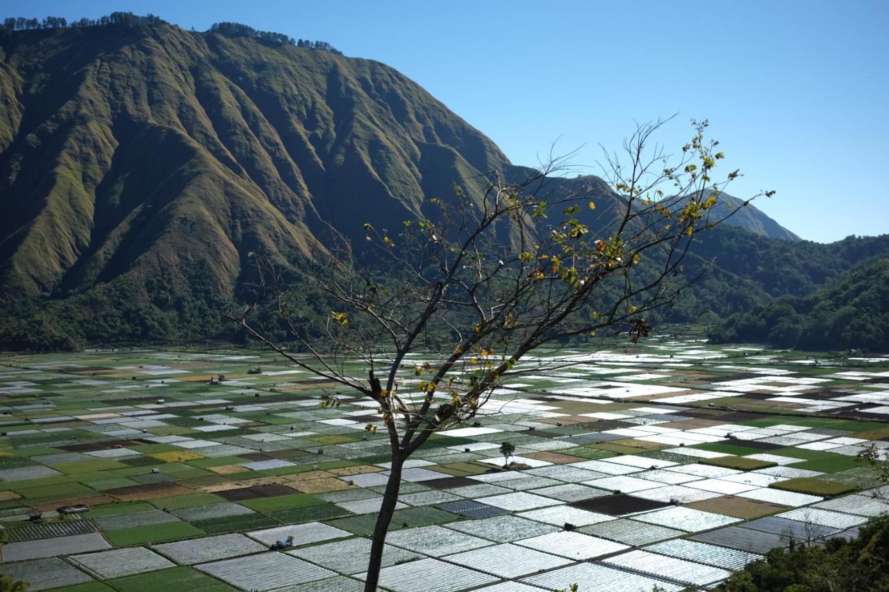 Rinjani Green Park Syariah Hotel 셈바룬 라왕 외부 사진